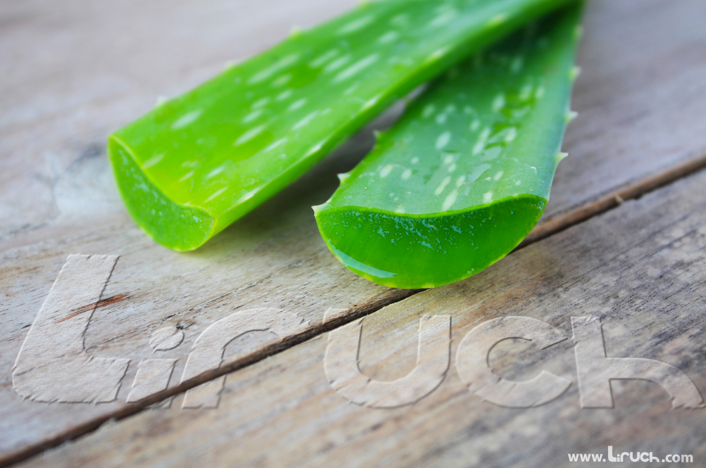 Beneficios casi mágicos del Aloe Vera